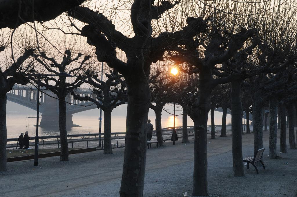 City-Hotel Neubrunnenhof マインツ エクステリア 写真